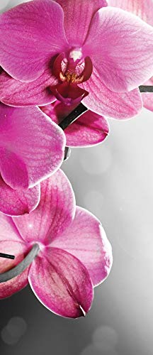 Vlies Türtapete Blumen Orchidee inklusiv Kleister einteilig Fototapete für Tür Türposter Schlafzimmer UV-Beständig Geruchsfrei Montagefertig (10155, (91x211 cm) 1 Bahn) von Fototapete Consalnet