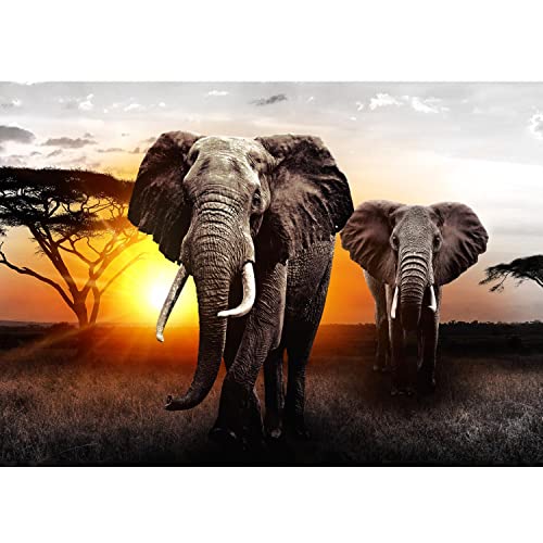 Runa Art Fototapeten 396 x 280 cm Afrika Elefant Sonnenuntergang - Vlies Wanddekoration Wohnzimmer Schlafzimmer - Deutsche Manufaktur - Grau Orange 9236012a von Runa Art