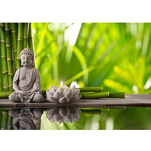 Runa Art Fototapete Natur Buddha Bambus Modern Vlies Wohnzimmer Schlafzimmer - Made in Germany - Grün Grau 9279010a von Runa Art