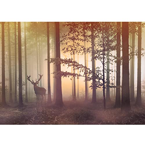 Runa Art Fototapeten 396 x 280 cm Wald Hirsch Nebel - Vlies Wanddekoration Wohnzimmer Schlafzimmer - Deutsche Manufaktur - Gelb Braun 9338012c von Runa Art