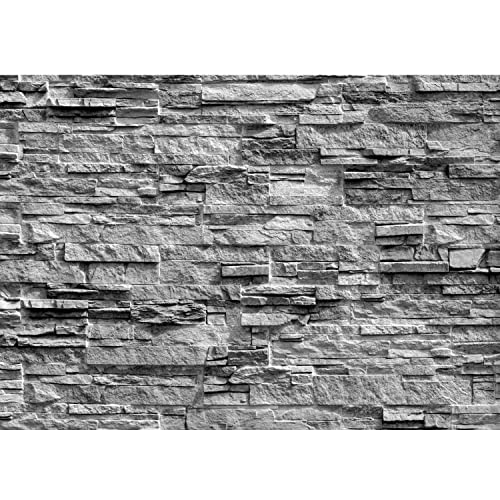 Runa Art Fototapeten 396 x 280 cm Steinwand 3D Effekt - Vlies Wanddekoration Wohnzimmer Schlafzimmer - Deutsche Manufaktur - Grau 9082012c von Runa Art