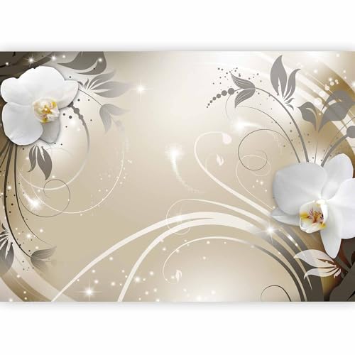 Fototapete murando 400x280 cm Vlies Tapeten Wandtapete XXL Moderne Wanddeko Design Wand Dekoration Wohnzimmer Schlafzimmer Büro Flur Blumen Orchidee b-A-0060-a-d Fototapete murando 400x280 cm Vlies Tapeten Wandtapete XXL Moderne Wanddeko Design Wand Dekoration Wohnzimmer Schlafzimmer Büro Flur Blumen Orchidee b-A-0060-a-d von Fototapete