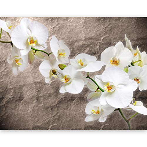 Fototapete murando Blumen Orchidee 400x270 cm Vlies Tapeten Wandtapete XXL Moderne Wanddeko Design Wand Dekoration Wohnzimmer Schlafzimmer Büro Flur Struktur 10080906-15 von Fototapete