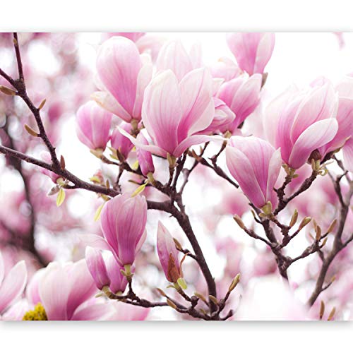 Fototapete murando rosa Magnolie 250x193 cm Vlies Tapeten Wandtapete XXL Moderne Wanddeko Design Wand Dekoration Wohnzimmer Schlafzimmer Büro Flur Blumen Baum Natur Pflanzenmotiv von Fototapete