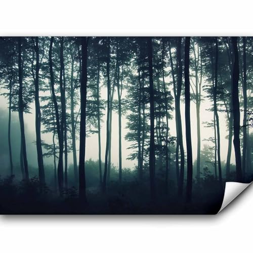 murando Fototapete Wald 350x256 cm Vlies Tapeten Wandtapete XXL Moderne Wanddeko Design Wand Dekoration Wohnzimmer Schlafzimmer Büro Flur Wald Natur Nebel c-B-0223-a-a murando Fototapete Wald 350x256 cm Vlies Tapeten Wandtapete XXL Moderne Wanddeko Design Wand Dekoration Wohnzimmer Schlafzimmer Büro Flur Wald Natur Nebel c-B-0223-a-a von Fototapete