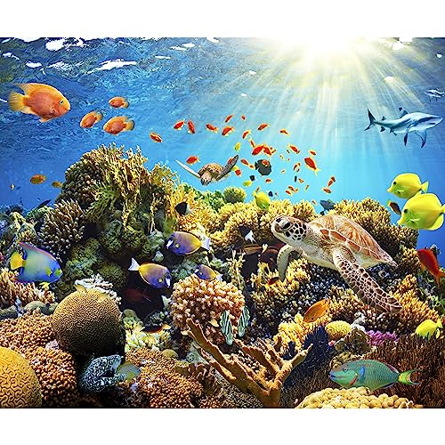 murando Fototapete Aquarium 150x105 cm Vlies Tapeten Wandtapete XXL Moderne Wanddeko Design Wand Dekoration Wohnzimmer Schlafzimmer Büro Flur Unterwasserwelt Korallen Riff Fisch Ozean b-A-0002-a-a von murando