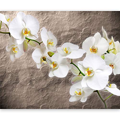 Fototapete murando Orchidee Blumen 200x154 cm Vlies Tapeten Wandtapete XXL Moderne Wanddeko Design Wand Dekoration Wohnzimmer Schlafzimmer Büro Flur Natur Pflanzenmotiv Textur von Fototapete