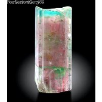 54 Ct Bicolor Terminated Elbait Turmalin Kristall Aus Der Cruseiro Mine, São José Da Safira, Minas Gerais, Brasilien von FourSeasonsGems85