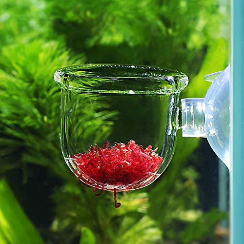 Aquarium Futternapf, Aquarium Wurm Feeder Starke Adsorption Futterring Fisch Feeder Wurm Futterbehälter mit Saugnapf für Aquarium Aquarium(Glass Gap Cup) von Fournyaa