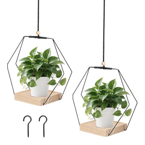 Fouvin 2 Stück Blumenampel Hängend Innen, Hängeblumentopf Hängeampel, Hängeampel Mit Holzsockel, Decke Hängende Pflanzer, Hängender Blumentopf Hängend, Mit Aufhängehaken, Wohnzimmer Balkon Deko von Fouvin
