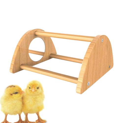 Foway Sitzstange Für Küken - Miniatur Spiegel Hühner Sitzstange | Hahn Spielzeug Spiegel Sitzstange Natürliches Holz Stallbedarf Zur Unterhaltung Foway Sitzstange Für Küken - Miniatur Spiegel Hühner Sitzstange | Hahn Spielzeug Spiegel Sitzstange Natürliches Holz Stallbedarf Zur Unterhaltung von Foway