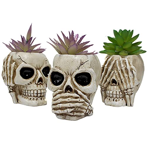 Fowybe Totenkopf Blumentöpfe,3er Pack Totenkopf Blumentöpfe Für Zimmerpflanzen Lustiger Blumentopf Für Hausgartendekorationen,Totenkopf Blumentopf Kreativer Kaktus Blumentopf Dekor Für Sukkulenten von Fowybe