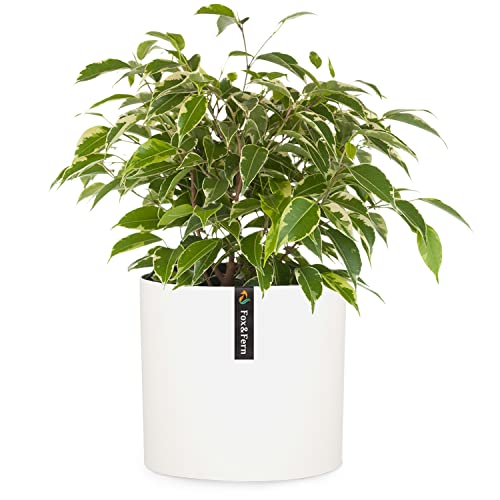 Fox&Fern Blumentopf L - 27cm großer Übertopf inklusive Wasserabfluss für Pflanzen im Außen- & Innenbereich - passend für Fox&Fern Blumenständer L (30cm Durchmesser) - Handgefertigt, Farbe: Mattweiß von Fox & Fern