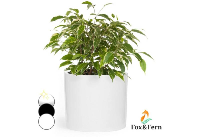 Fox & Fern Hochbeet Gendt Pflanztopf von Fox & Fern