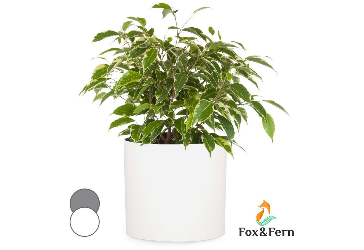 Fox & Fern Hochbeet Gendt Pflanztopf von Fox & Fern