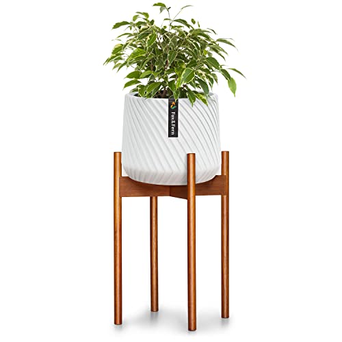 Pflanzenständer (Plant Stand) M+ OHNE Übertopf - Blumenständer Holz aus nachhaltiger Akazie- Pflanzenhocker - Pflanzenständer aus Holz - Blumentopf Ständer - zeitloser Blumenhocker aus Holz von Fox & Fern