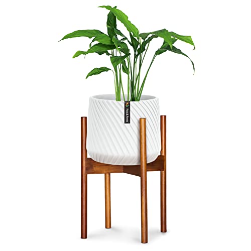 Pflanzenständer (Plant Stand)ML OHNE Übertopf - Blumenständer Holz aus nachhaltiger Akazie- Pflanzenhocker - Pflanzenständer aus Holz - Blumentopf Ständer - zeitloser Blumenhocker aus Holz von Fox & Fern