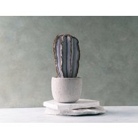 Boho Kaktus - Handgemachte Topfpflanzen Wohndekoration Dekor von FoxPigeonDecor