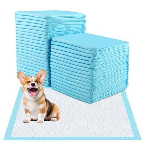 Foydream Welpen Unterlagen,40 Stück PIPI Matten für Hunde 60 x 60 cm Trainingspads Auslaufsicheres 6-lagiges Design mit Schnell Trocknender Oberfläche Foydream Welpen Unterlagen,40 Stück PIPI Matten für Hunde 60 x 60 cm Trainingspads Auslaufsicheres 6-lagiges Design mit Schnell Trocknender Oberfläche von Foydream
