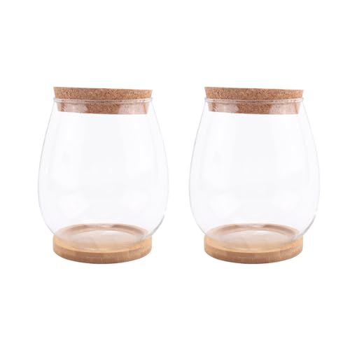 Fozriybefy 2 STK. Separates Desktop-Pflanzenterrarium-Set mit Holztablett und Deckel Zur Vermehrung Von Hydroponischen Pflanzen von Fozriybefy