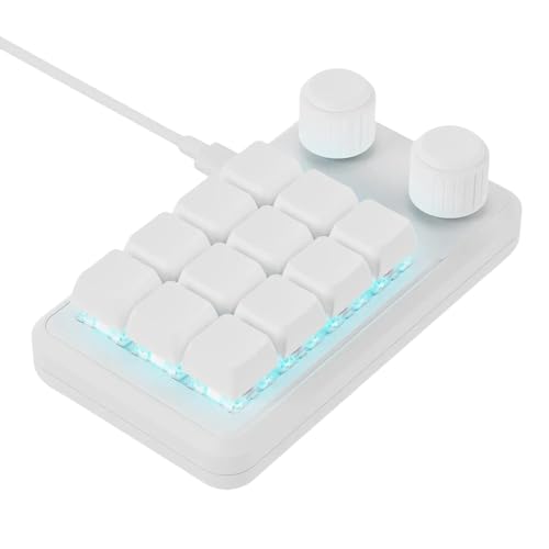 12-Tasten-Makro-Pad für Gamer und Profis, RGB beleuchtet programmierbare Beleuchtung mit Typ-C-Kabel, anpassbare mechanische Tastatur 12-Tasten-Makro-Pad für Gamer und Profis, RGB beleuchtet programmierbare Beleuchtung mit Typ-C-Kabel, anpassbare mechanische Tastatur von Fpbiagoq