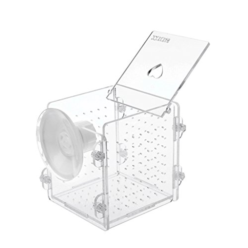 Aquarium Züchter Box Inkubator Kleine Fische Luke Schuppen Klar Acryl Split Wounded Fish Aquatic Heater Licht Thermometer Kies Sand Dekoration Luft für Zucht Fische von Fpbiagoq