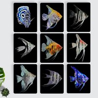 Angelfish Aluminium Metall Wandplatte Mit Atemberaubendem Fraktal Kunst Design von FractalArtworks