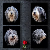 Bearded Collie Fraktal Kunst Metall Wandtafel Mit Atemberaubendem Design von FractalArtworks