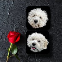 Coton De Tulear Untersetzer, 2Er Set, Mit Atemberaubendem Fractal Art Design von FractalArtworks