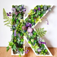 Sukkulenten Wand-Brief Pflanzen Dekor | 30 cm Sukkulenten Wand-Brief Pflanzen Dekor | 30 cm von FramedRealityDesigns