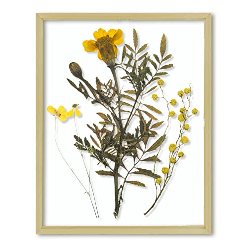 Frametory, Floating Picture Frame 11x14 – Gold Metall Bilderrahmen – Echtglas – für Wandhalterung oder Tisch-Displays von Frametory
