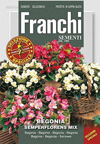 Franchi Sementi DBFS305-55 Begonie Semperflorens Mix (Begoniesamen) von Franchi Sementi