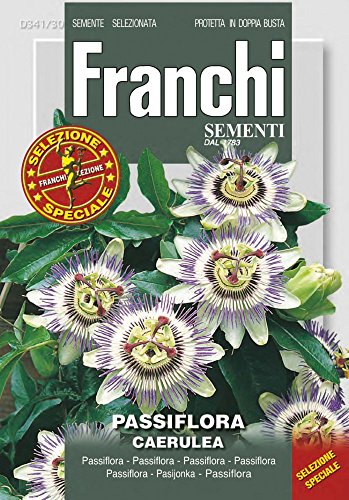 Franchi Sementi DBFS341-30 Passionsblume Caerulea (Passionsblumensamen) von Franchi Sementi
