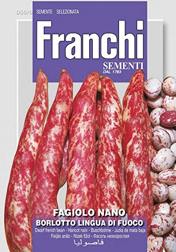 Franchi Sementi DBL56-6 Buschbohne Borlotto Lingua Di Fuoco (Bohnensamen) von Franchi Sementi
