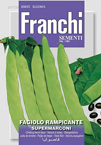 Franchi Sementi DBL57-30 Stangenbohne Supermarconi (Bohnensamen) von Franchi Sementi