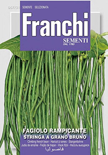Franchi Sementi DBL57-31 Stangenbohne Stringa A Grano Bruno (Bohnensamen) von Franchi Sementi