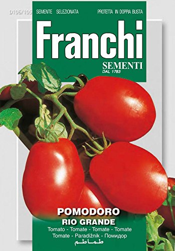 Franchi Sementi DBO106-105 Tomate Rio Grande (Tomatensamen) von Franchi Sementi