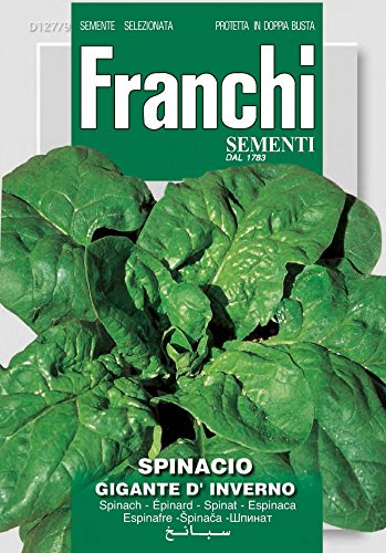 Franchi Sementi DBO127-9 Spinat Gigante D'Inverno (Spinatsamen) von Franchi Sementi