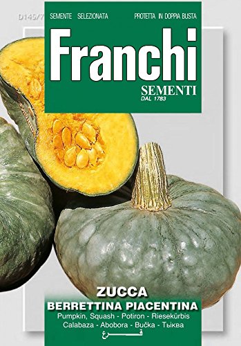 Franchi Sementi DBO145-7 Riesenkürbis Berrettina Piacentina (Kürbissamen) von Franchi Sementi