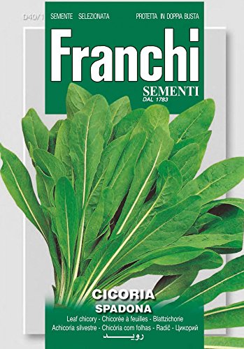 Franchi Sementi DBO40-1 Schnittzichorie Spadona (Salatsamen) von Franchi Sementi