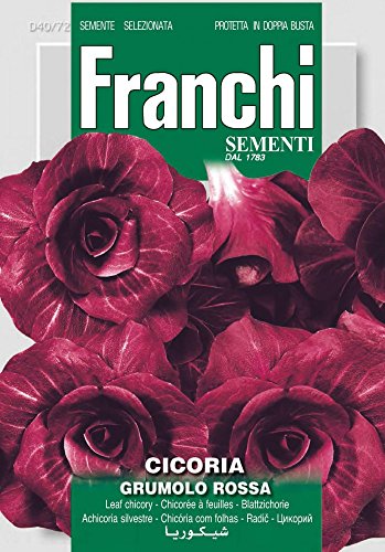 Franchi Sementi DBO40-72 Schnittzichorie Rossa Di Verona Tardiva (Salatsamen) von Franchi Sementi