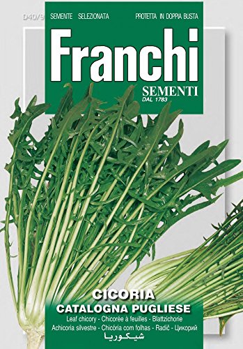 Franchi Sementi DBO40-9 Schnittzichorie Catalogna Pugliese (Salatsamen) von Franchi Sementi