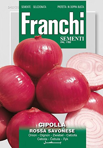 Franchi Sementi DBO42-26 Zwiebel Rossa Savonese (Zwiebelsamen) von Franchi Sementi