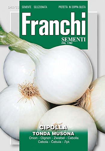 Franchi Sementi DBO42-33 Zwiebel Tonda Musona (Zwiebelsamen) von Franchi Sementi