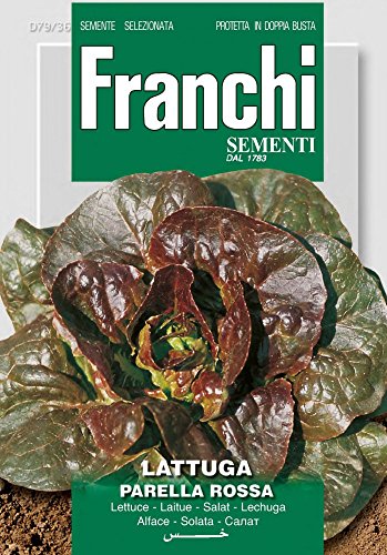 Franchi Sementi DBO79-36 Salat Rougette De Montpellier (Salatsamen) von Franchi Sementi