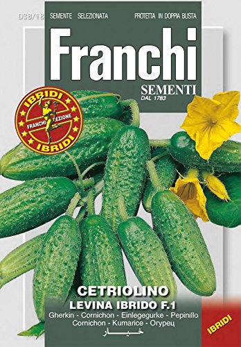 Franchi Sementi DBOS38-17 Gurke Cetriolino Levina F1-Hybride (Gurkensamen) von Franchi Sementi