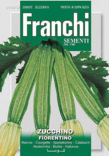 Franchi Sementi DBO146-52 Zucchini Lungo Fiorentino (Kürbissamen) von Franchi Sementi