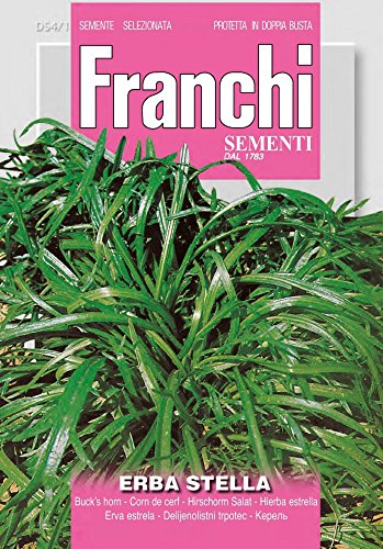 Franchi Sementi DBA54-1 Krähenfuß-Wegerich (Salatsamen) von Franchi Sementi