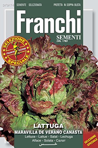 Salatsamen - Salat Canasta Extra von Franchi Sementi von Franchi Sementi