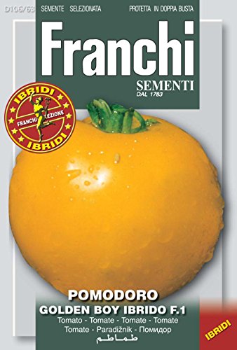 Tomatensamen - Tomate Golden Boy Hybrid F.1 von Franchi Sementi von Franchi Sementi